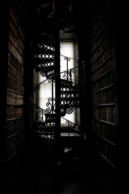 dark image of a spiral staircase in between two bookshelves in front of a window