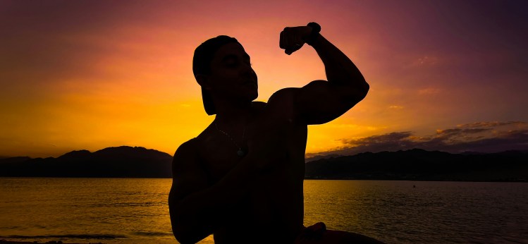 Silhouette of a buff man flexing his bicep in front of a sunset. A himbo, if you will